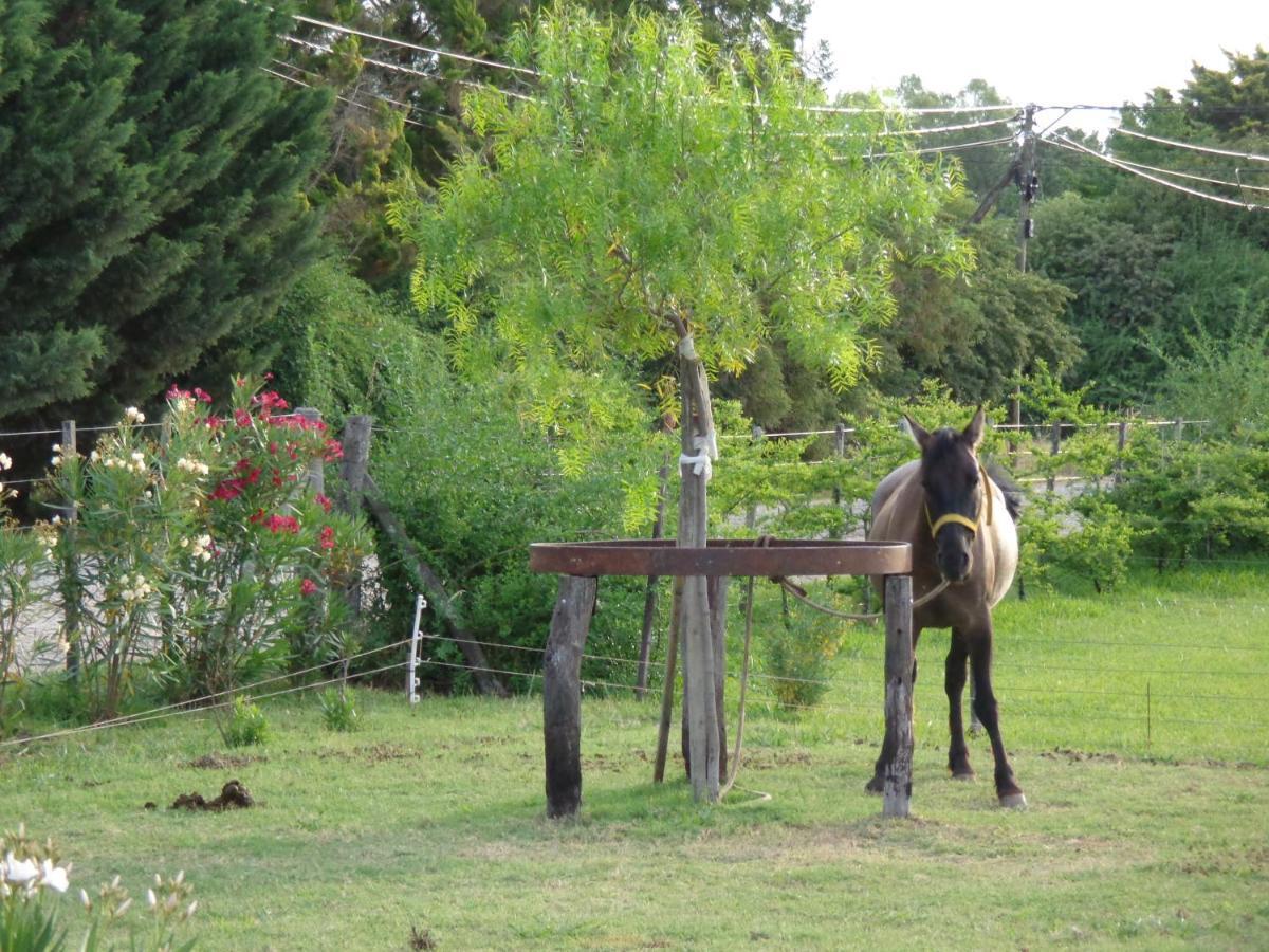 El Sendero - Güiraldes B&B San Antonio de Areco Exterior foto